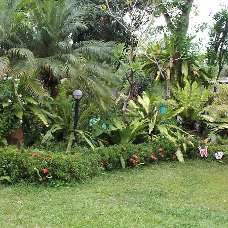 White Elephant Resort Surin Ngoại thất bức ảnh