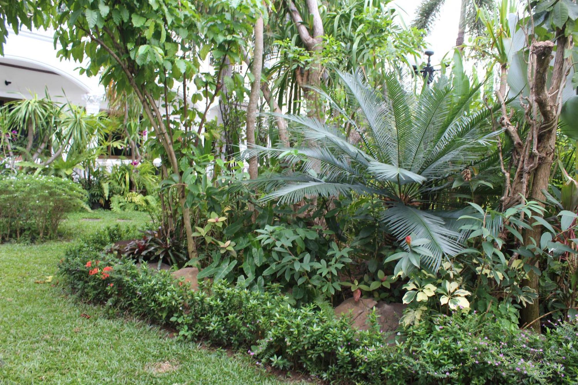 White Elephant Resort Surin Ngoại thất bức ảnh