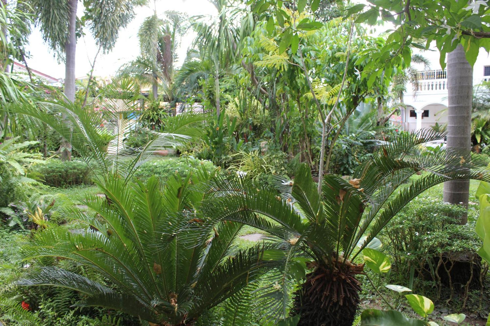 White Elephant Resort Surin Ngoại thất bức ảnh