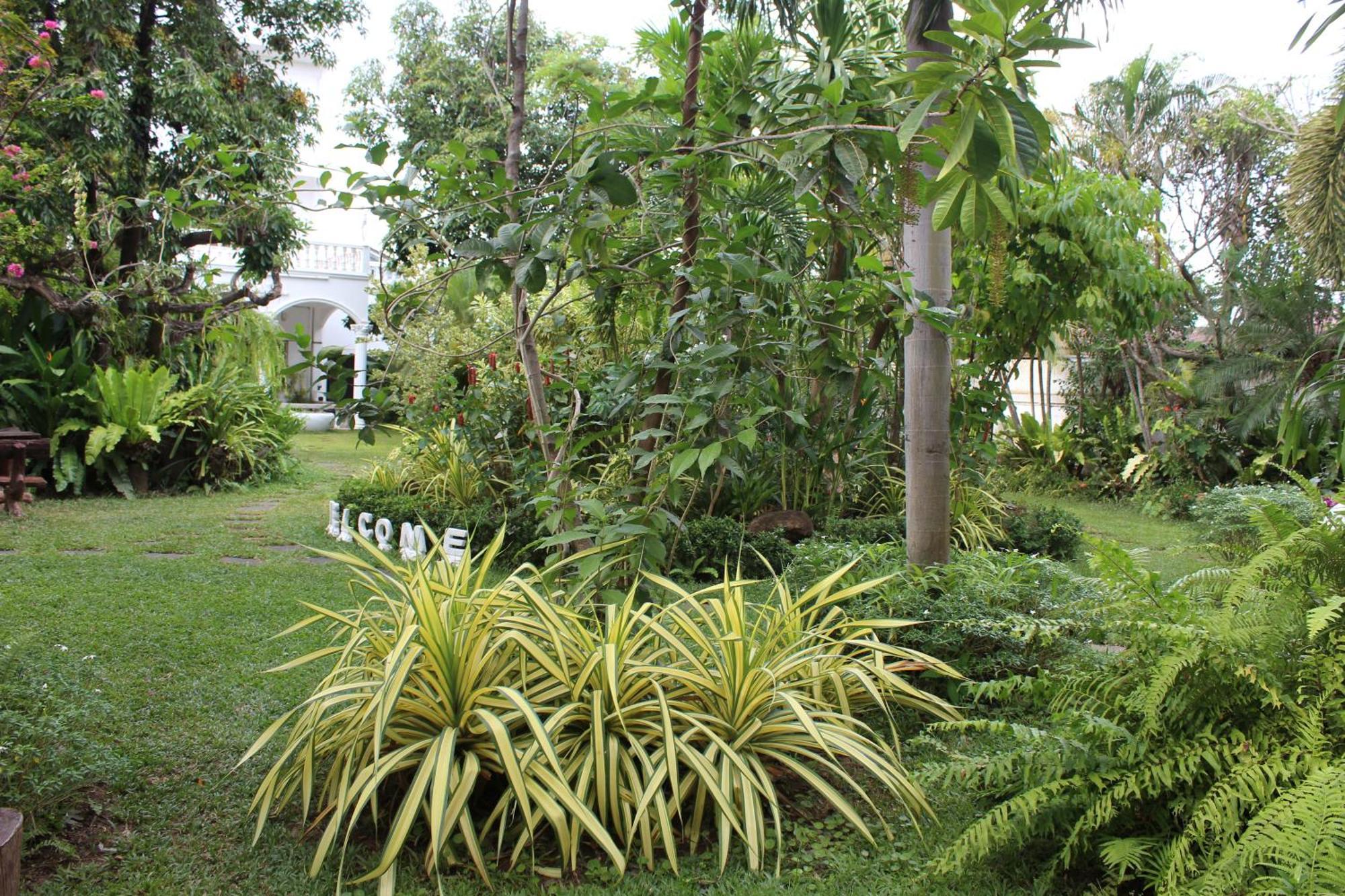 White Elephant Resort Surin Ngoại thất bức ảnh