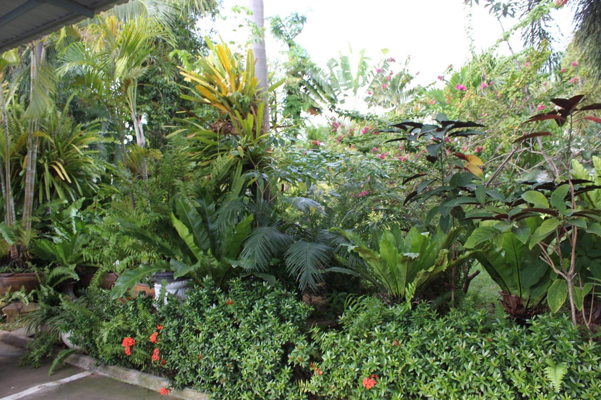 White Elephant Resort Surin Ngoại thất bức ảnh