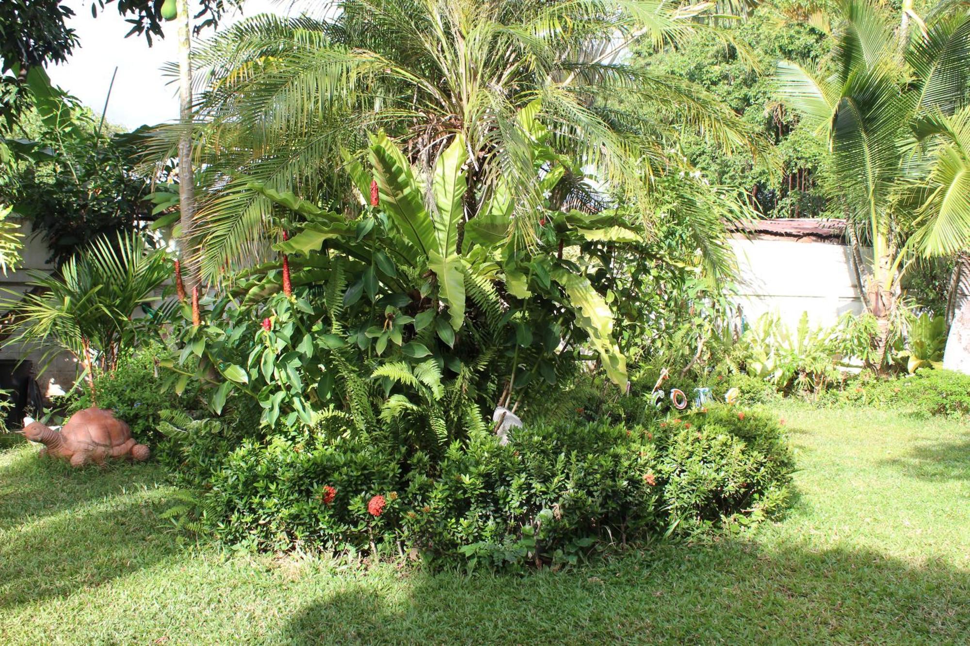 White Elephant Resort Surin Ngoại thất bức ảnh