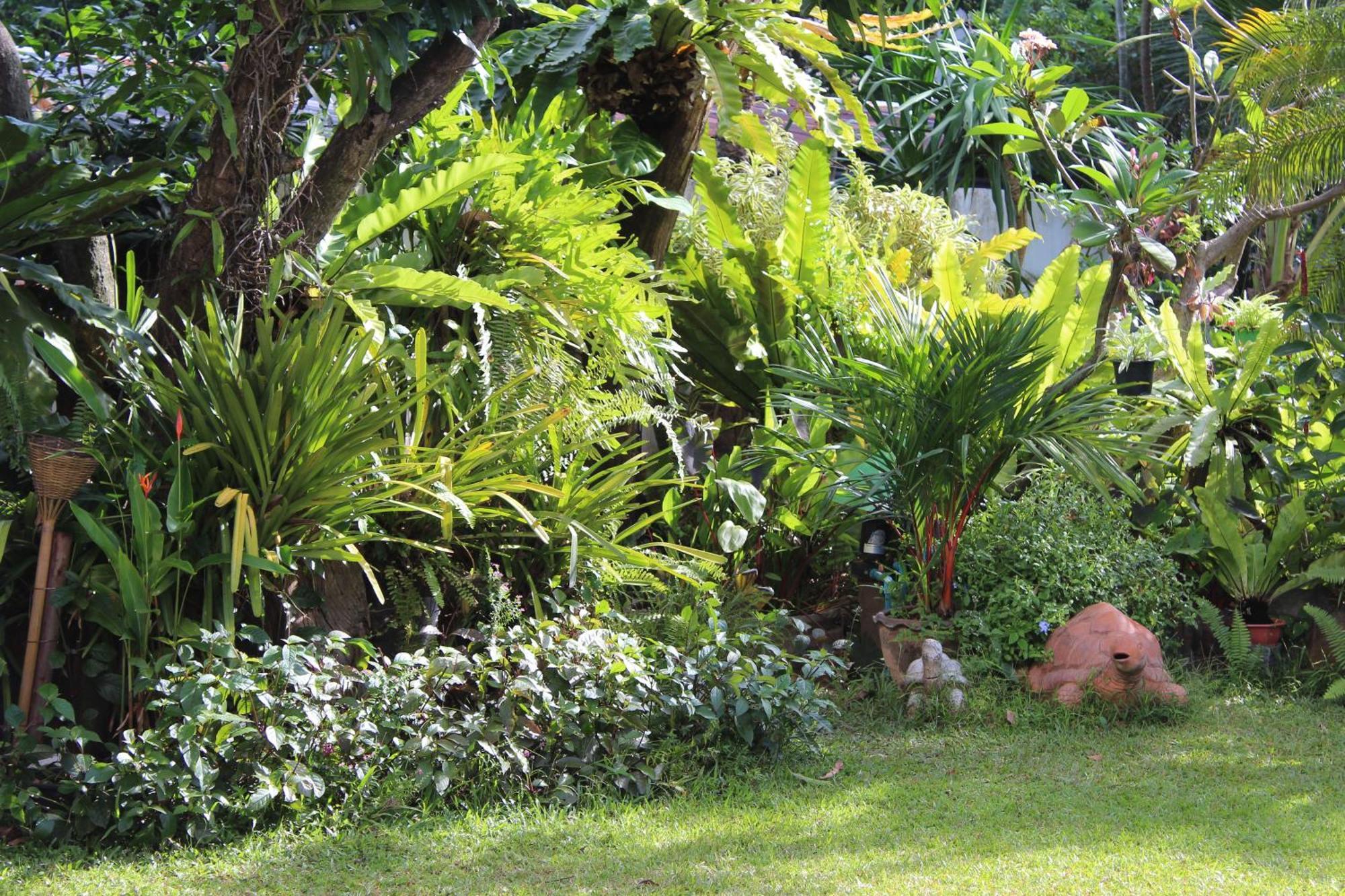 White Elephant Resort Surin Ngoại thất bức ảnh