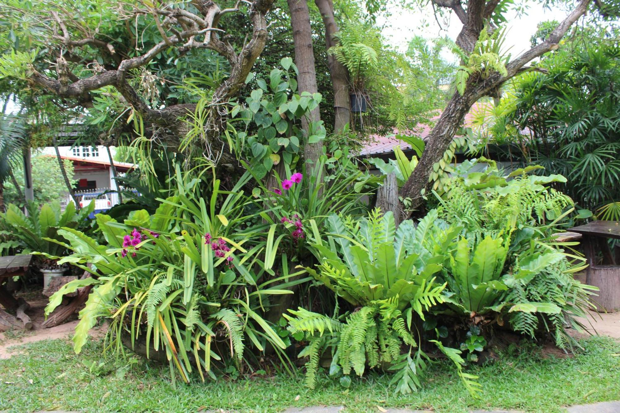 White Elephant Resort Surin Ngoại thất bức ảnh