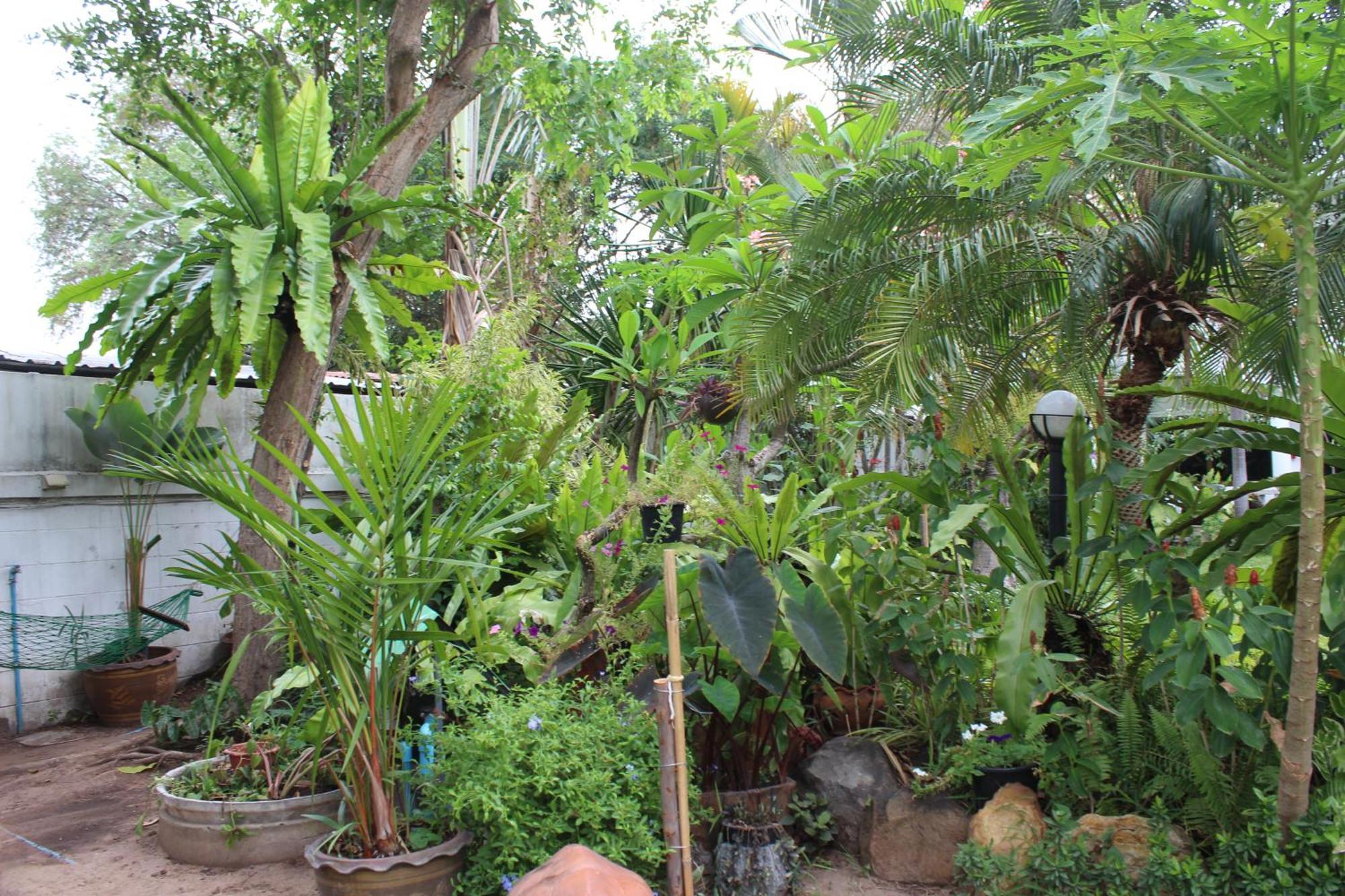 White Elephant Resort Surin Ngoại thất bức ảnh