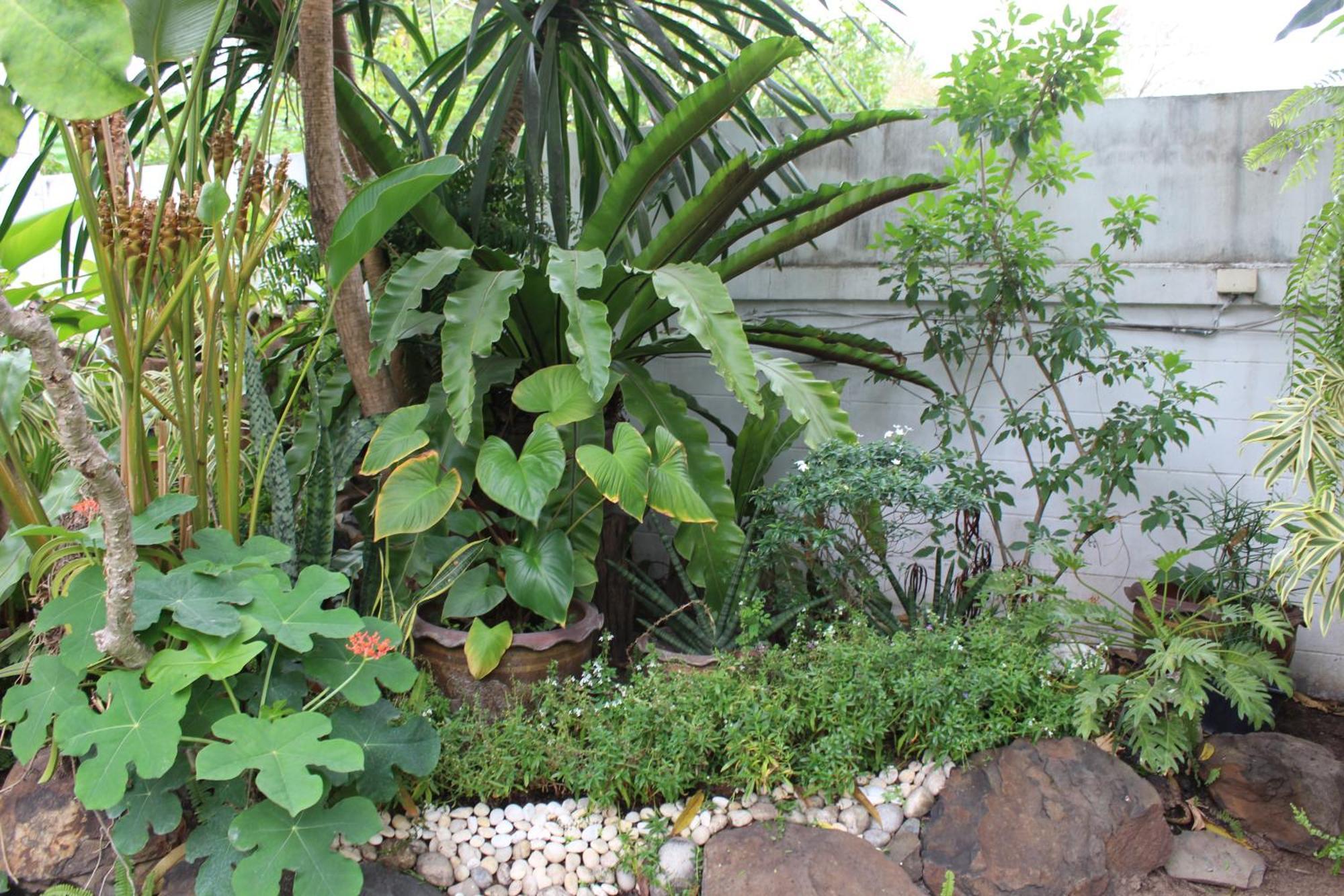 White Elephant Resort Surin Ngoại thất bức ảnh