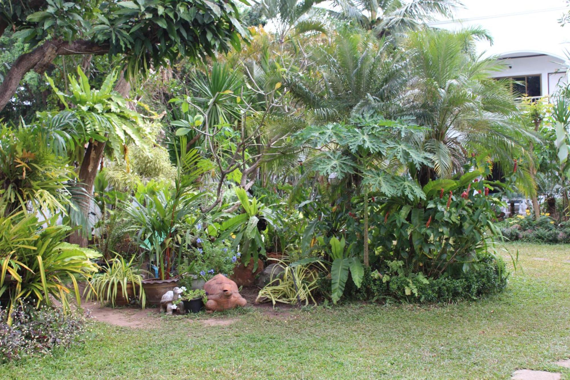 White Elephant Resort Surin Ngoại thất bức ảnh